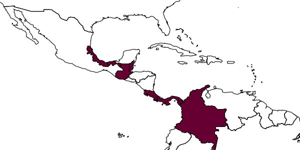 map of Polybia raui  raui   Bequaert, 1933